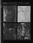 Damage from Hurricane Hazel (4 Negatives) (October 15, 1957) [Sleeve 32, Folder a, Box 13]